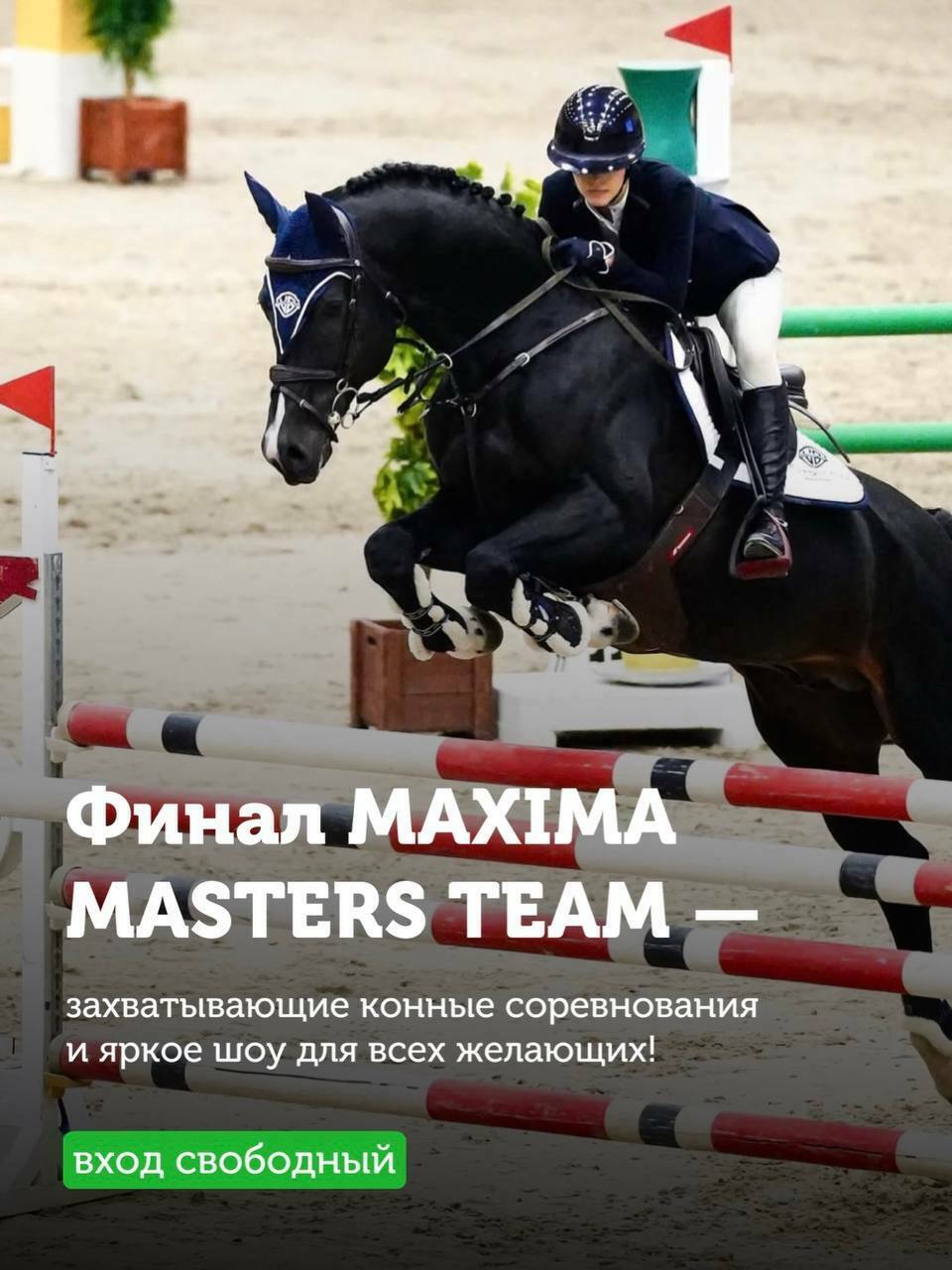 Финал MAXIMA MASTERS TEAM в загородном комплексе «Максима Парк»