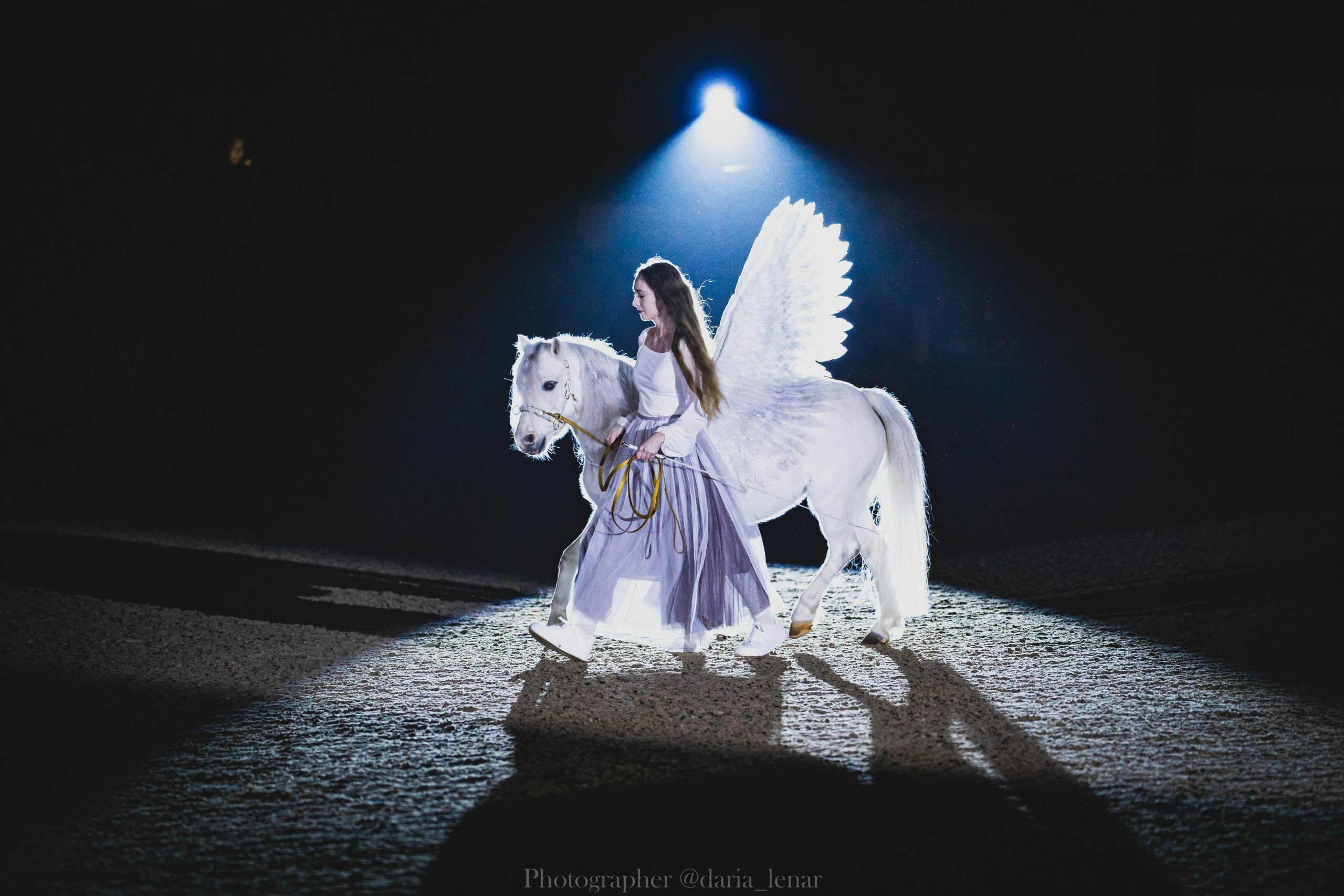 Конное шоу «Шедевры»