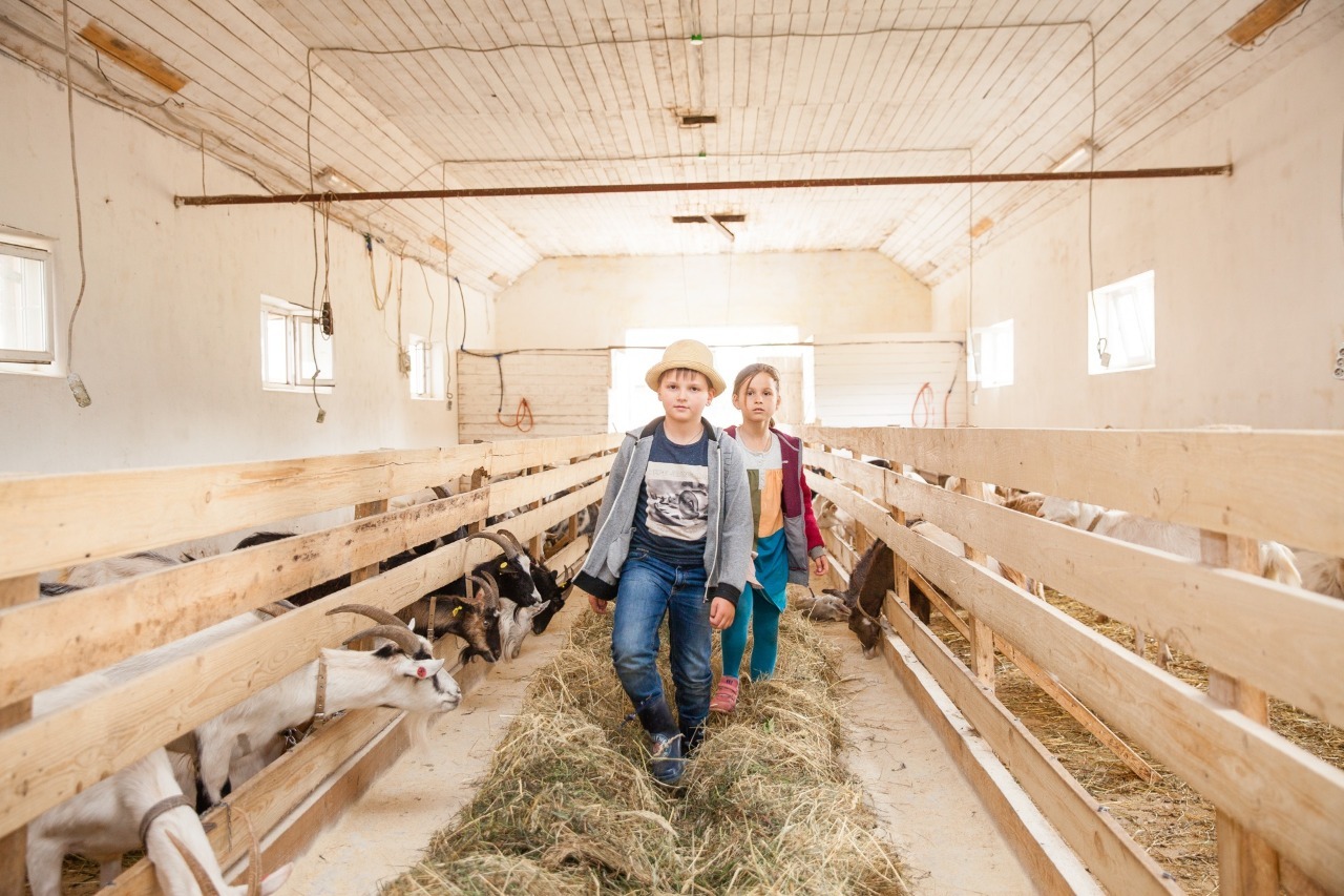 Экоферма «Хутор Метель Спиридоново подворье»