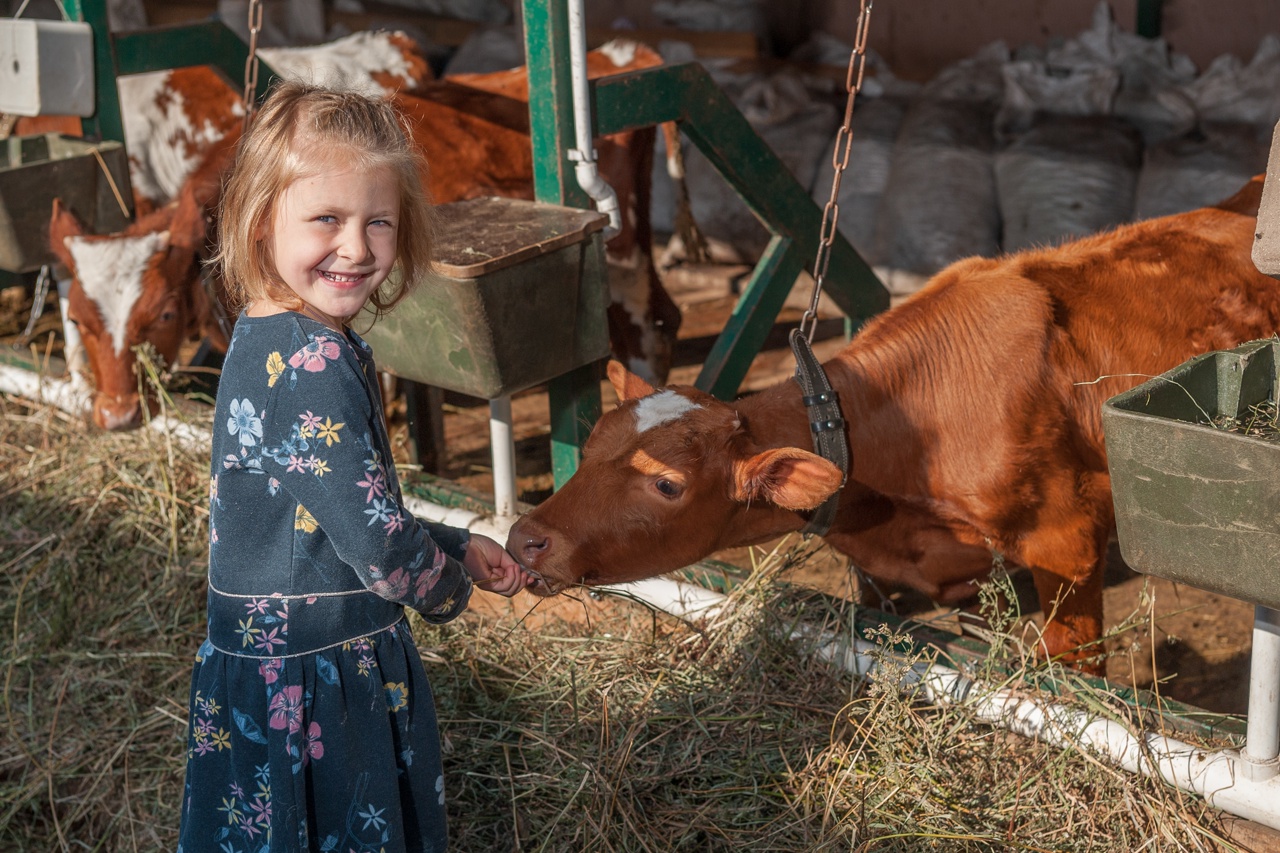 Экоферма «Хутор Метель Спиридоново подворье»