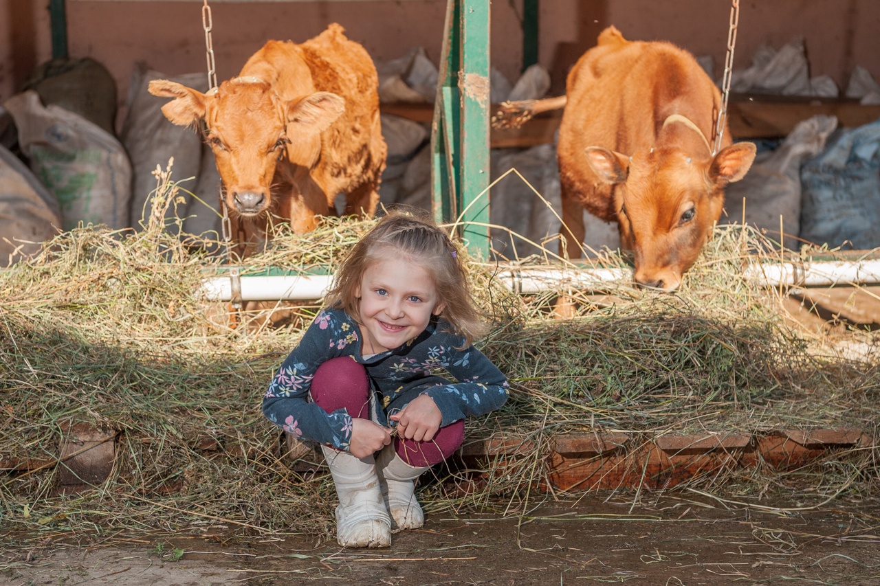 Экоферма «Хутор Метель Спиридоново подворье»