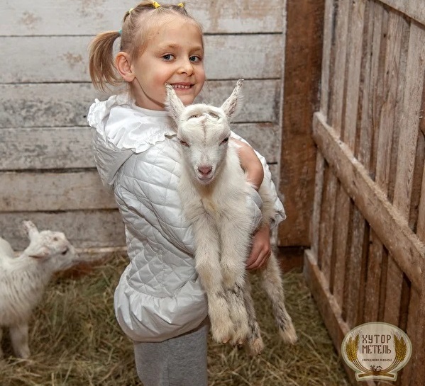 Экоферма «Хутор Метель Спиридоново подворье»