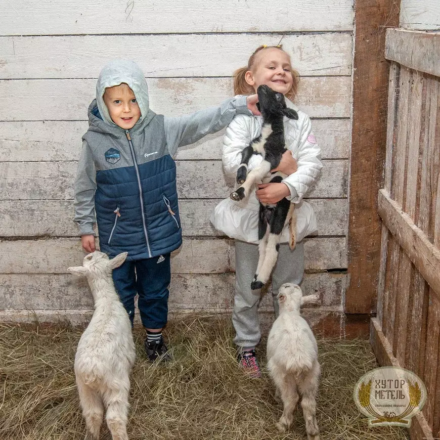 Экоферма «Хутор Метель Спиридоново подворье»
