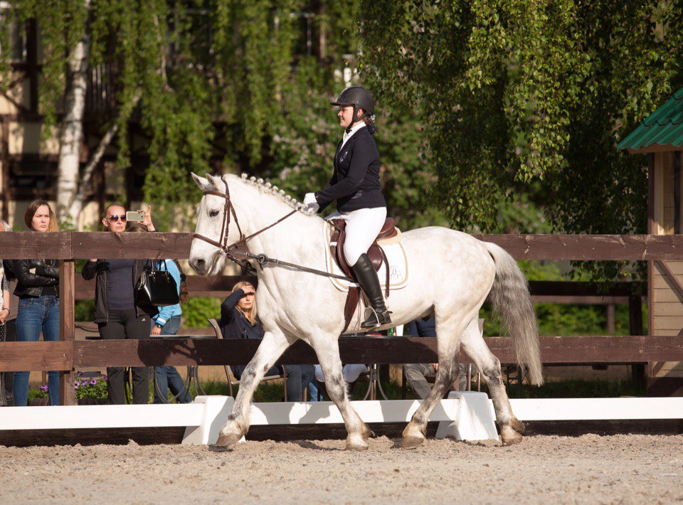 Конноспортивный клуб «Белая дача»