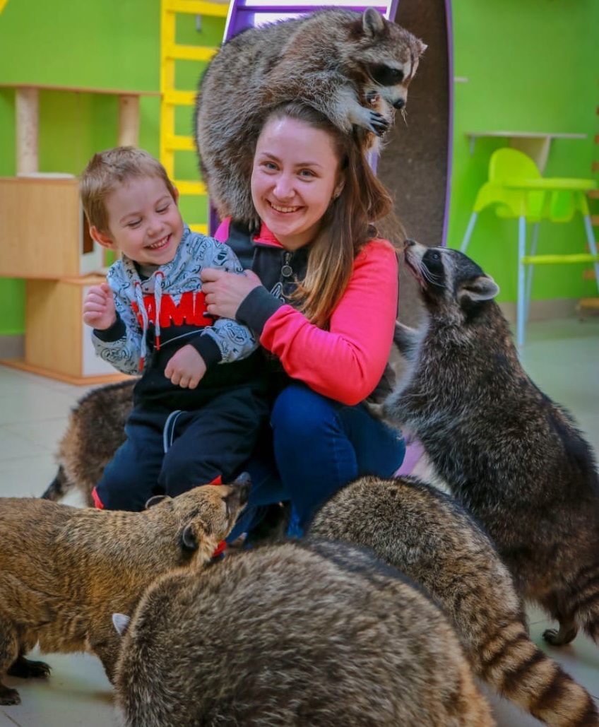 Образовательный и культурно-развивающий центр «Планета енотов»