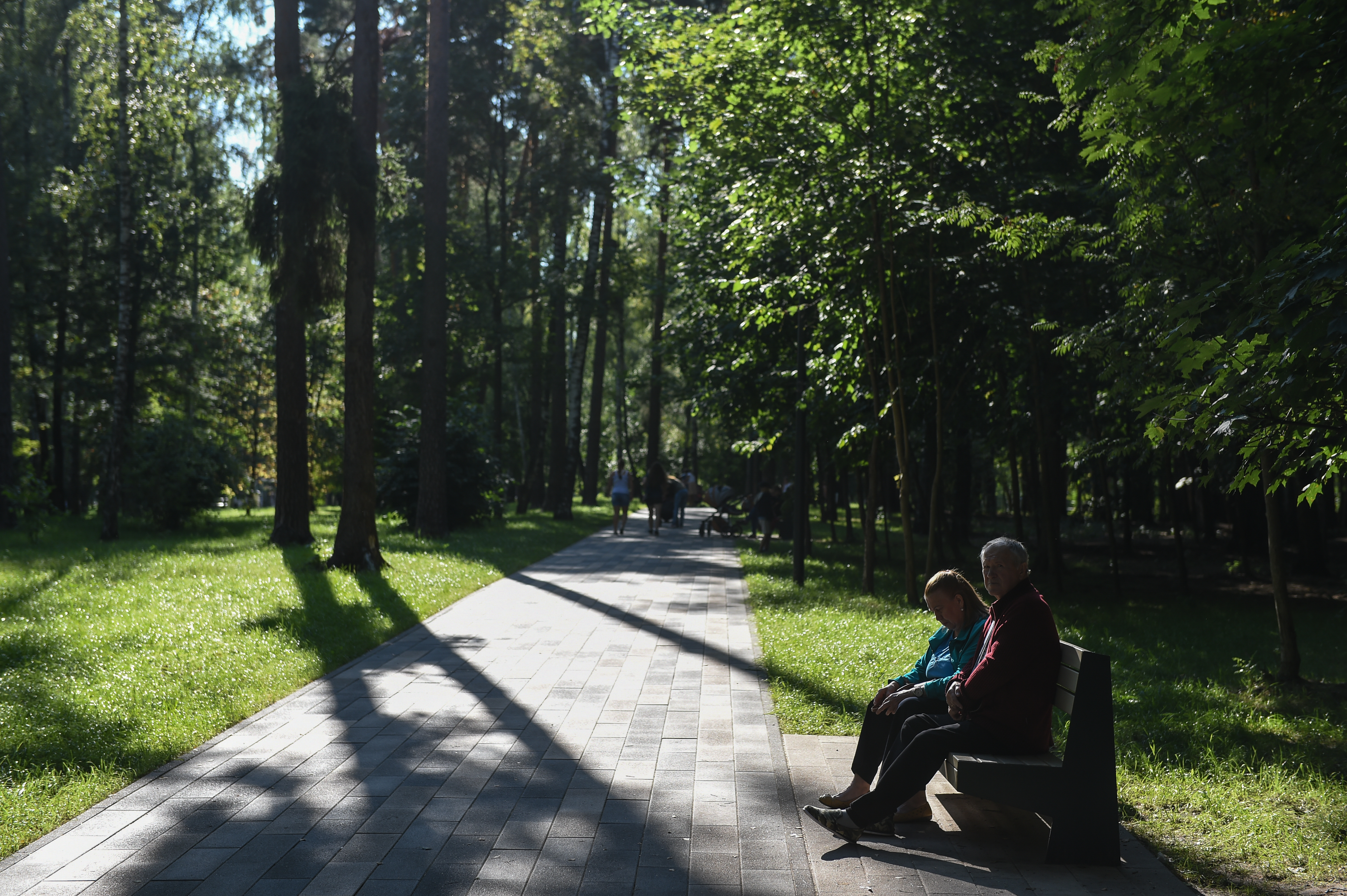 Более 40 парков культуры и отдыха появились в Подмосковье в 2020 году