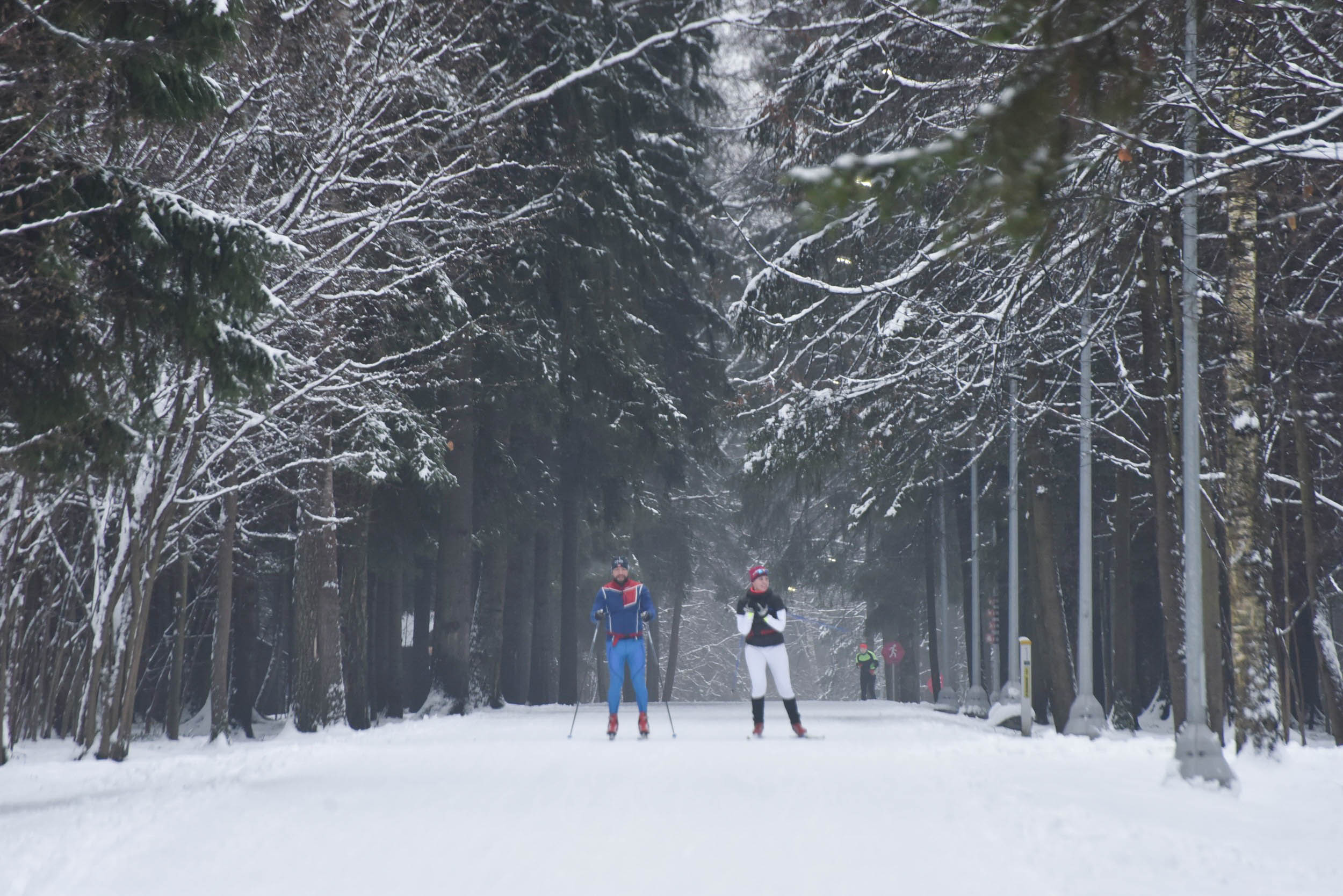 Более 180 лыжных трасс будут открыты этой зимой в Подмосковье