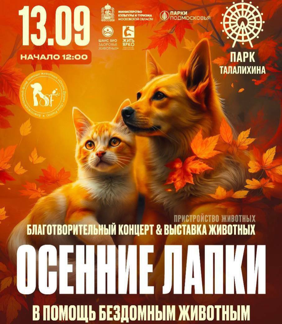 В Подольске 13 сентября пройдет благотворительная акция «Осенние лапки»