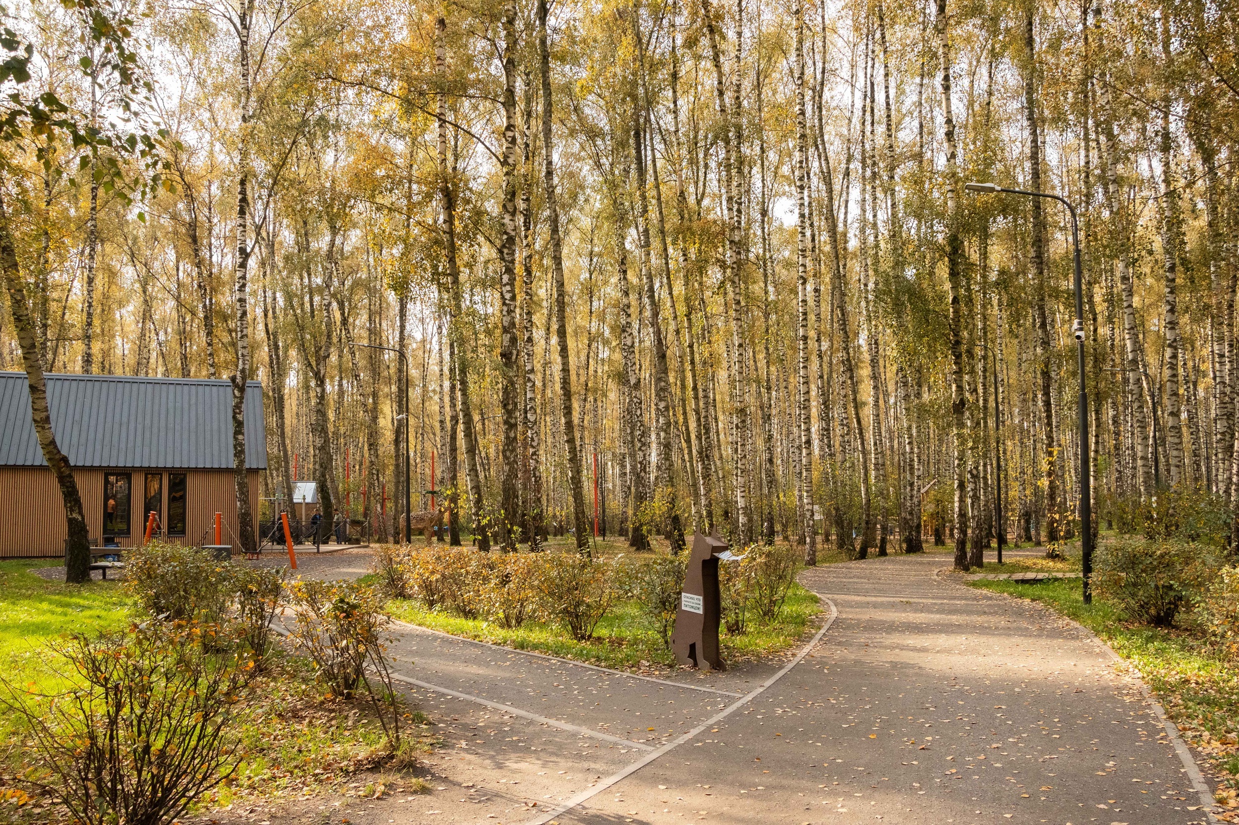 Парк «Городской лес» в Домодедове 2 ноября отпразднует день рождения