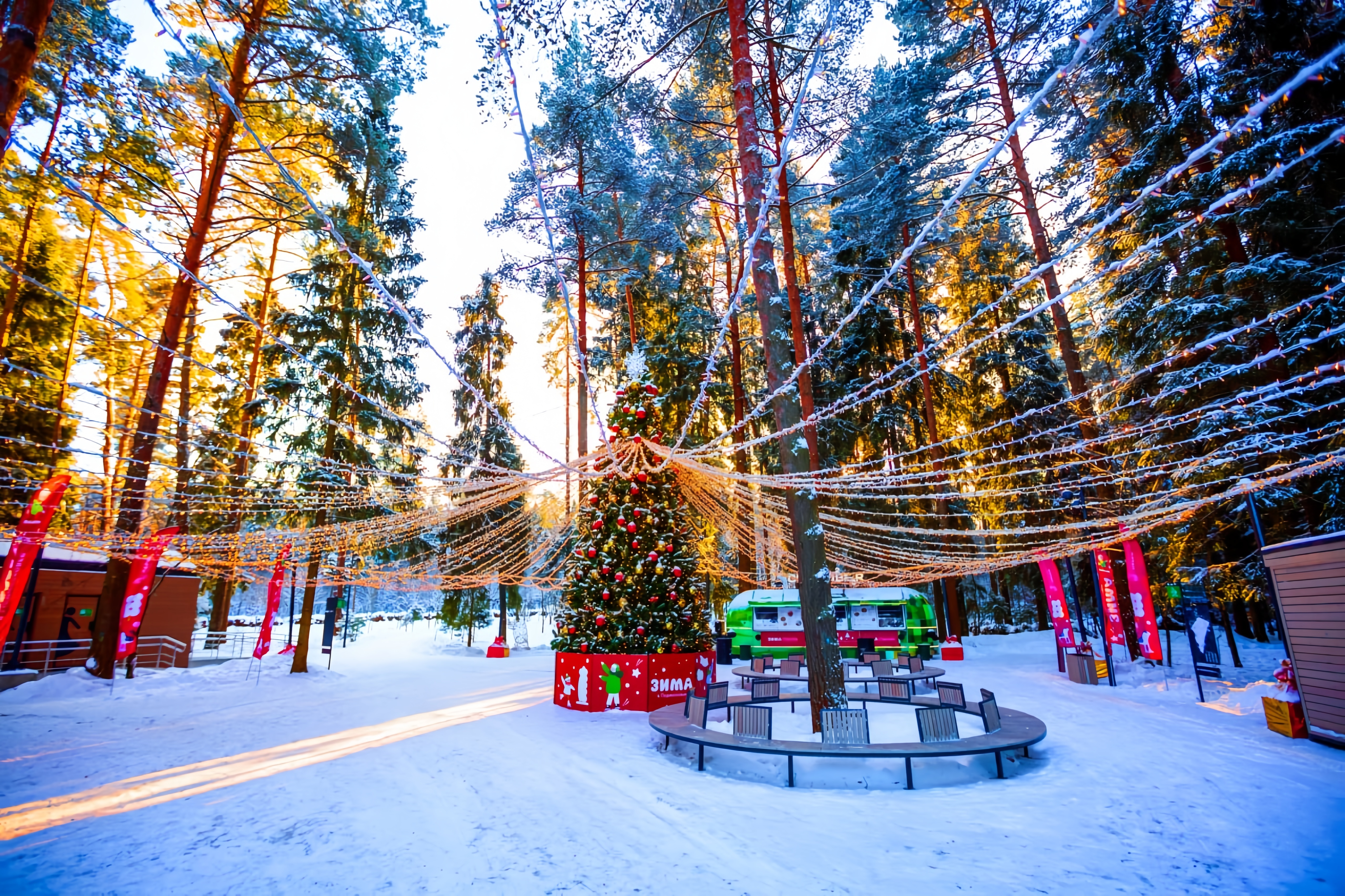 Более 3,3 млн человек посетили подмосковные парки за новогодние праздники