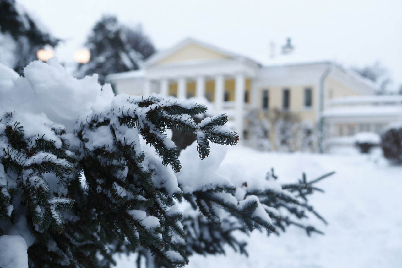 Музей-заповедник «Горки Ленинские» приглашает на программу, приуроченную ко Дню памяти В.И. Ленина