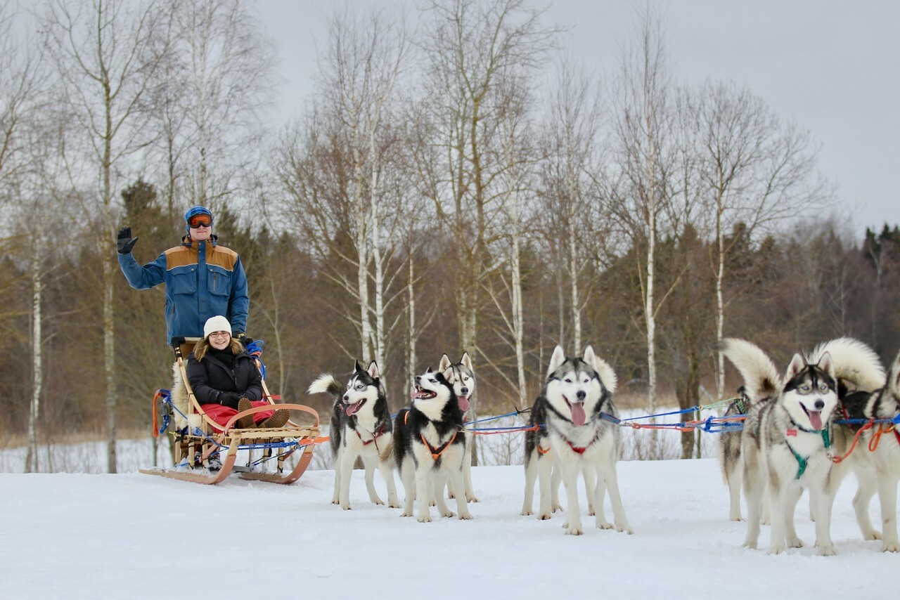 Зимний маршрут по Подмосковью: катание на горных лыжах, оленях, хаски и музей елочной игрушки