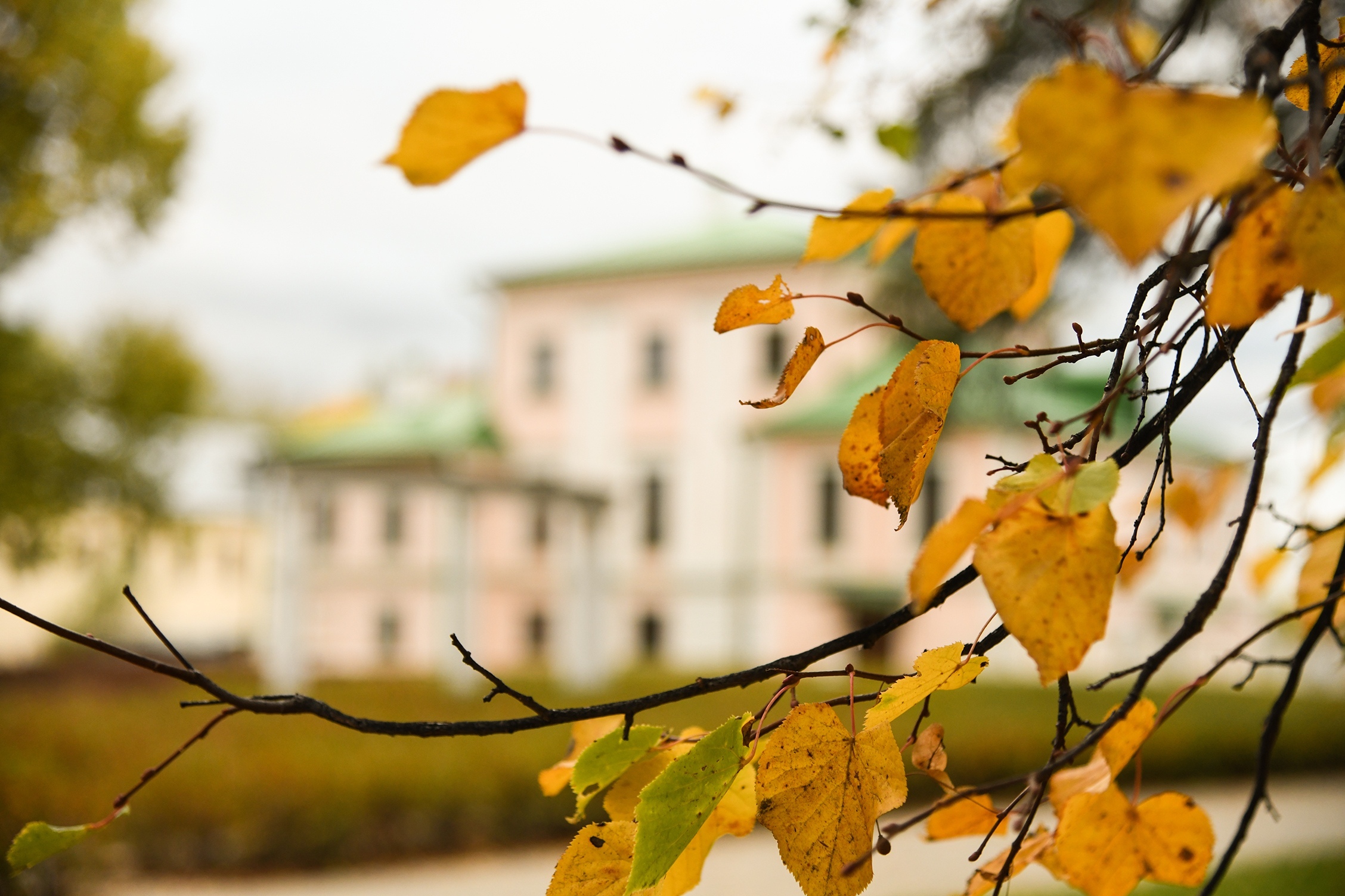 Воскресенск – Бронницы: старинная усадьба, прогулки в парках, полет на автожире и тур по бездорожью
