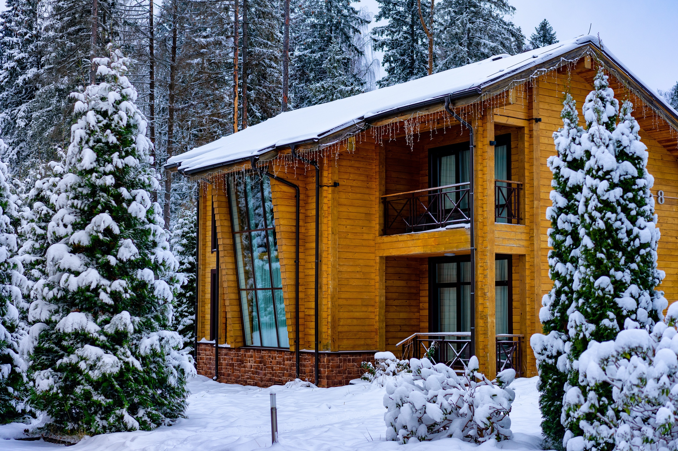 Отдых в подмосковном отеле Les Art Resort зимой