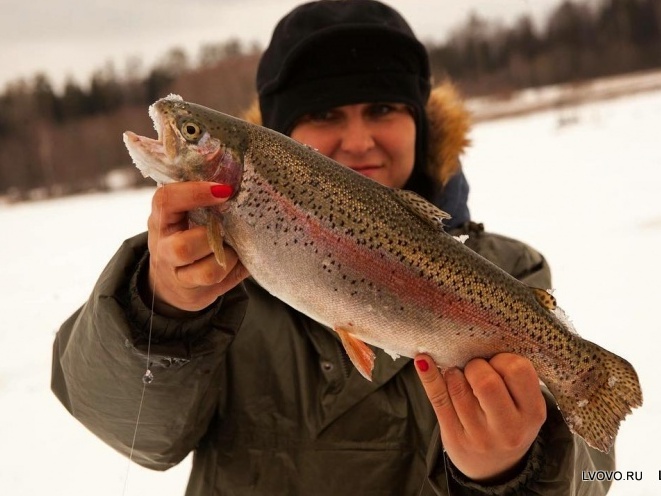 Зимняя рыбалка на рыболовной базе «Львово»