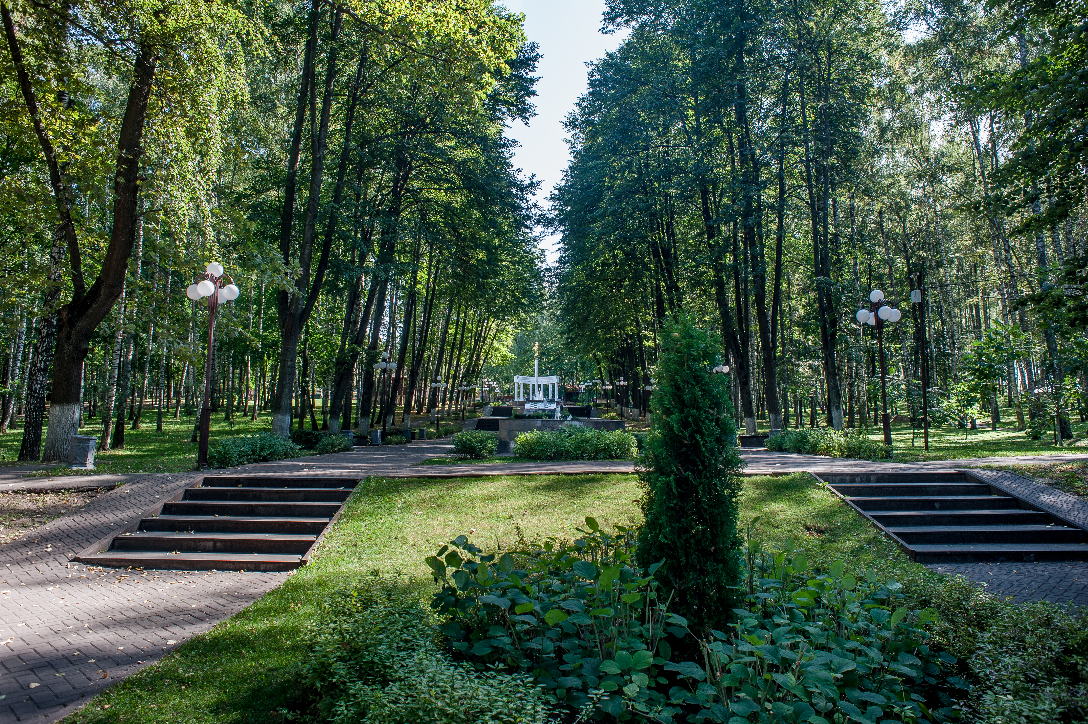 Парк «Березовая роща» в Дмитрове
