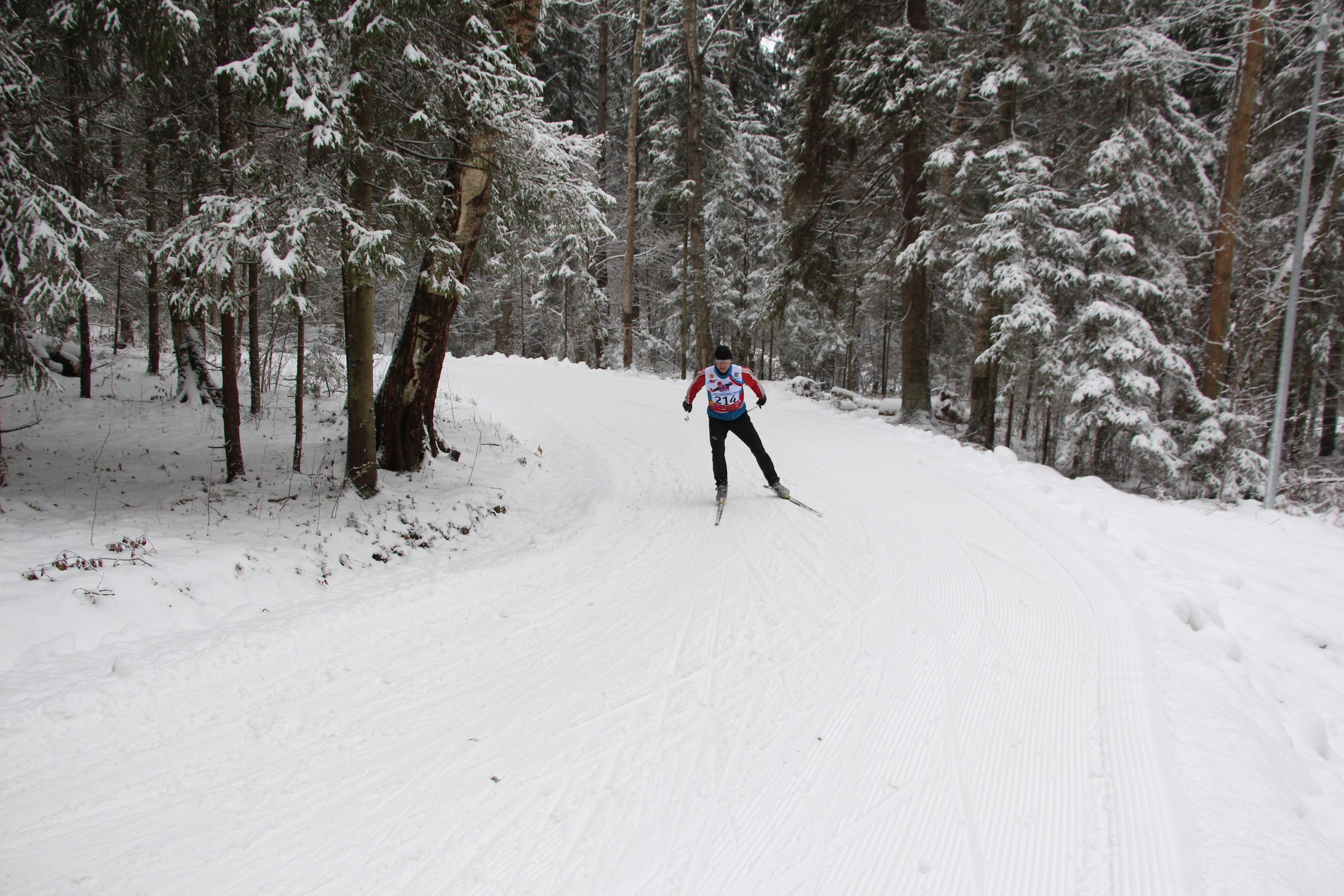 Лыжная трасса в Одинцовском городском парке культуры, спорта и отдыха