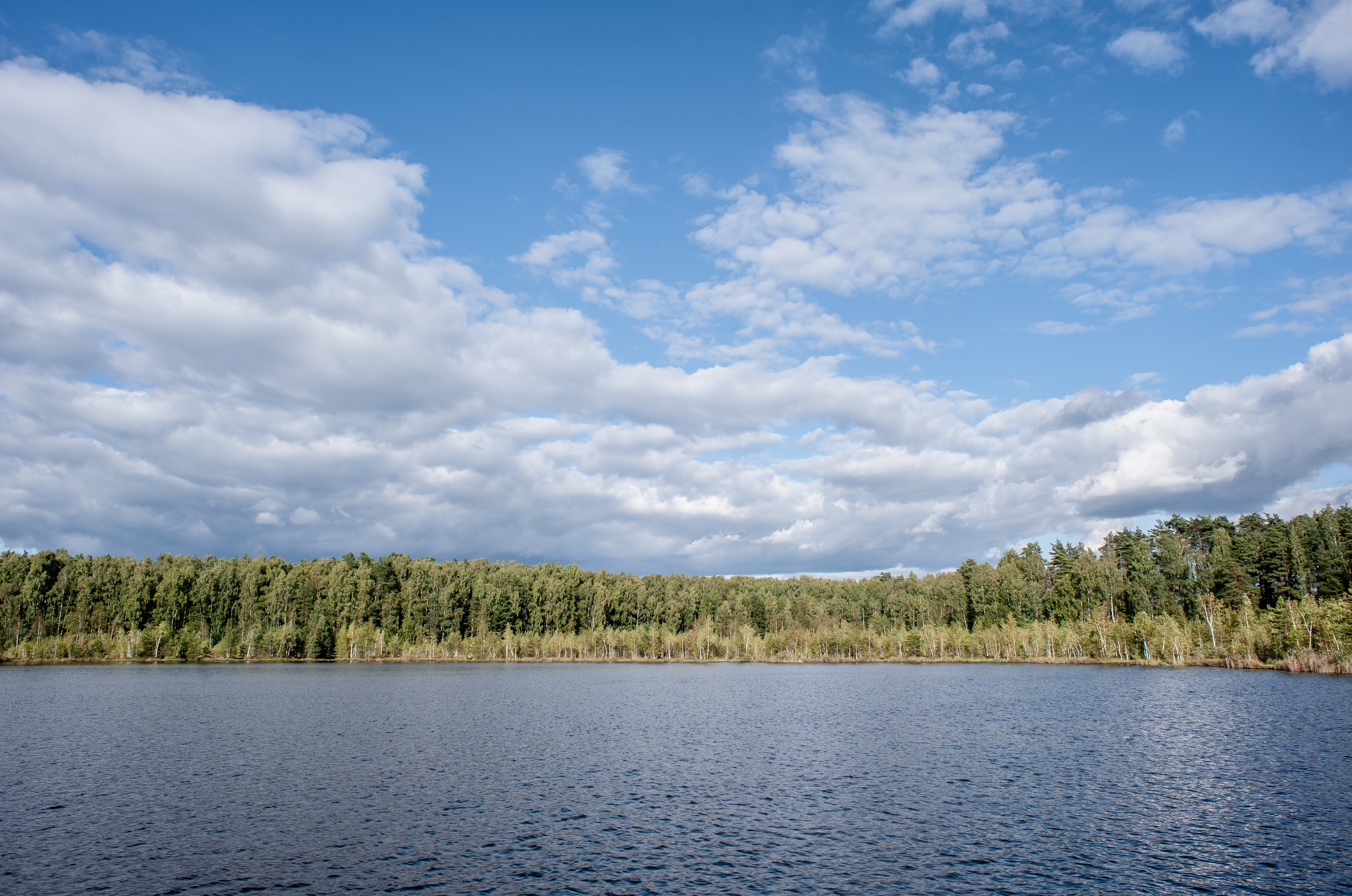 Озеро Бабошкино в Балашихе