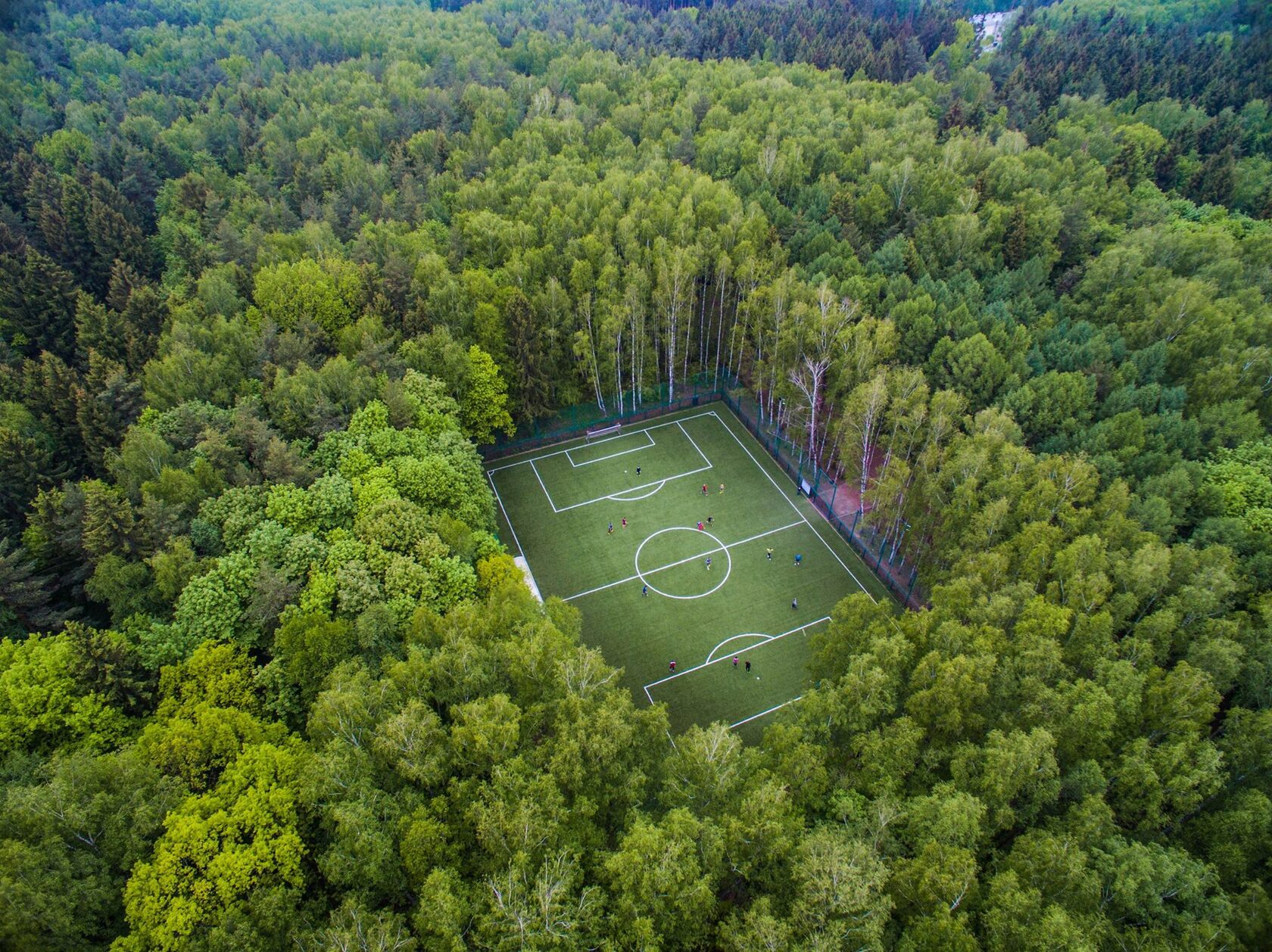 Лучшие парки москвы и подмосковья. Смотреть фото Лучшие парки москвы и подмосковья. Смотреть картинку Лучшие парки москвы и подмосковья. Картинка про Лучшие парки москвы и подмосковья. Фото Лучшие парки москвы и подмосковья
