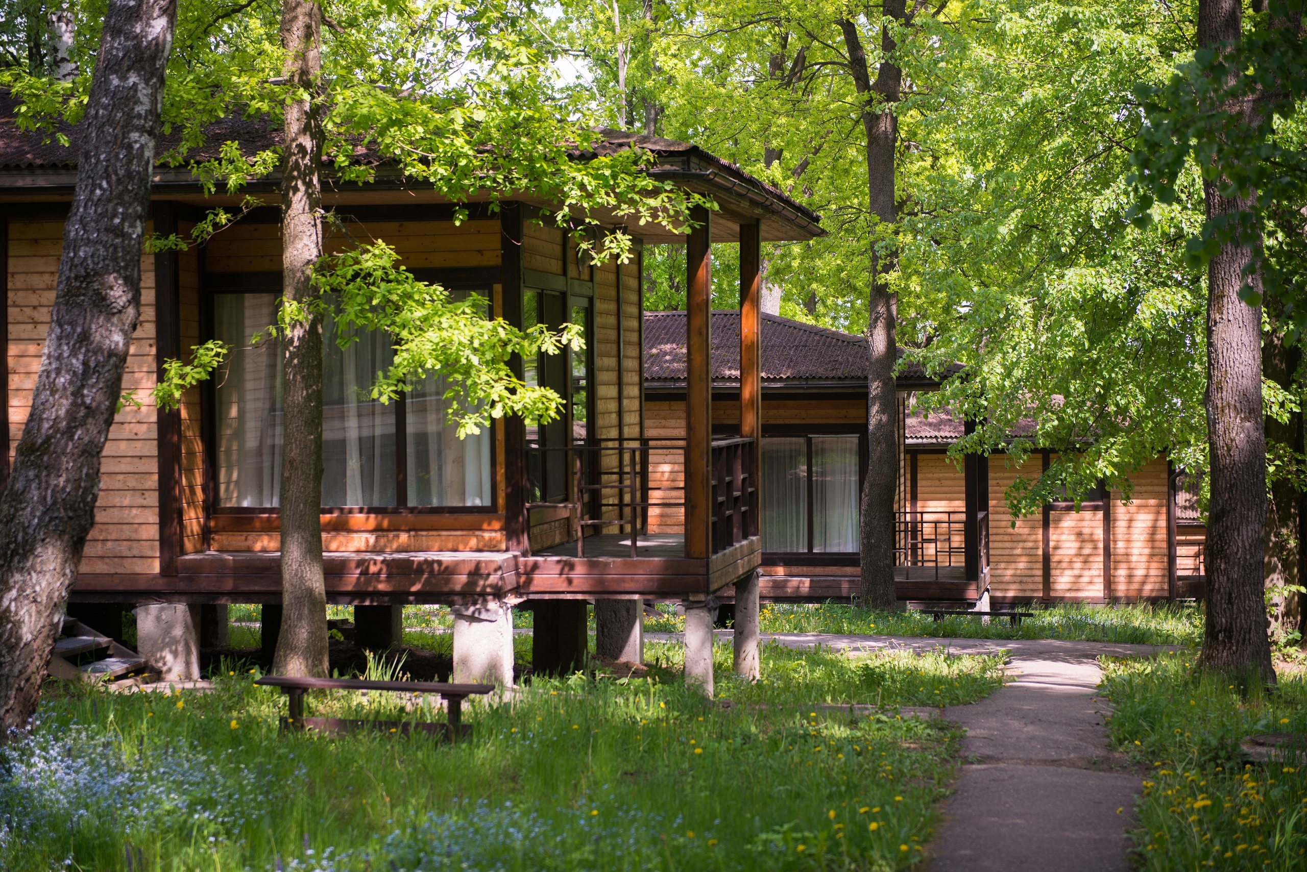 Фореста. Отель Foresta Festival Park. Форест парк отель Московская область. Фореста Чеховский район. Фореста Московская область отель.